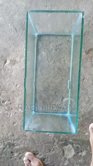 Fish Tank