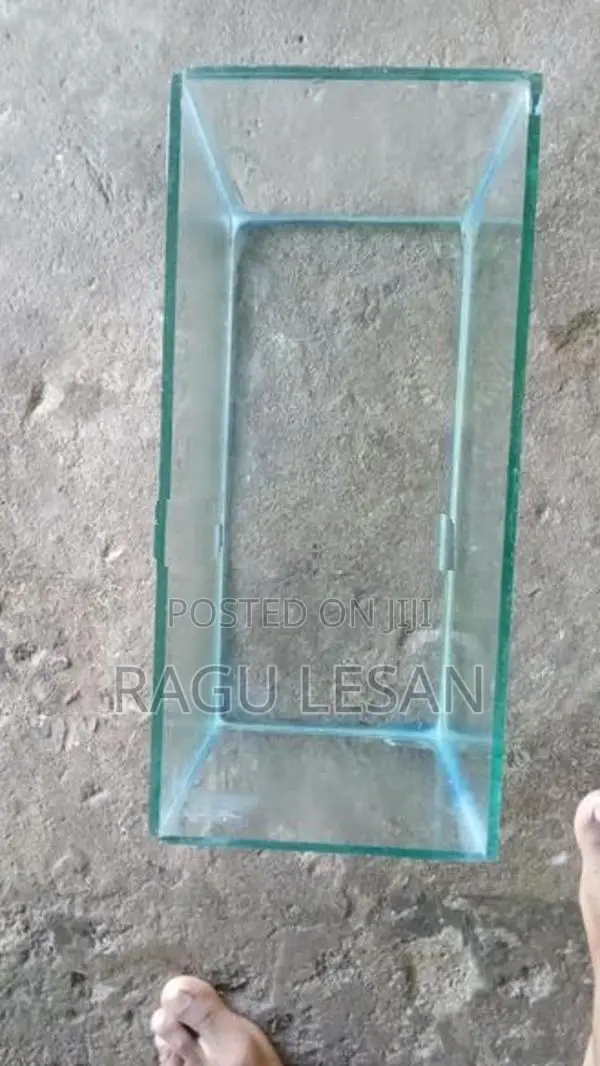 Fish Tank
