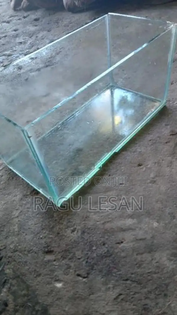Fish Tank