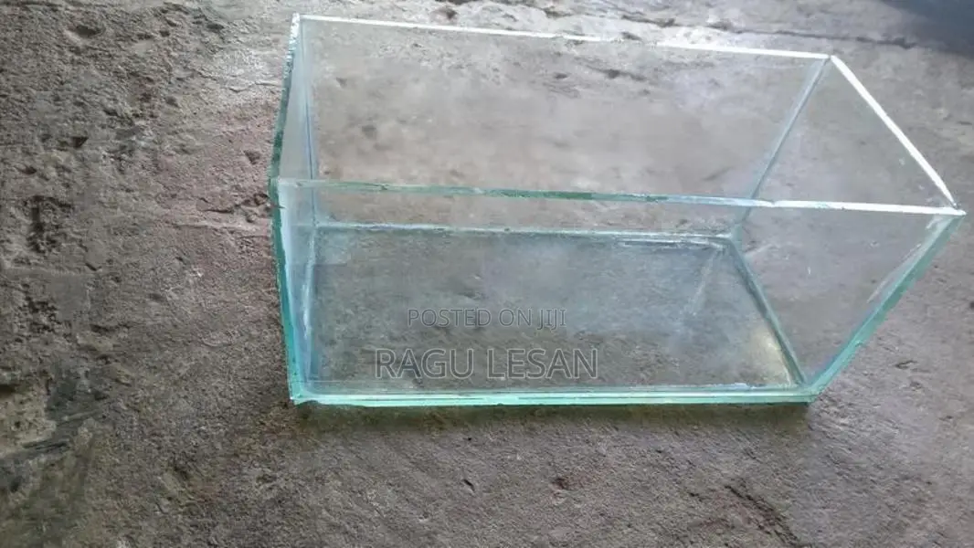 Fish Tank