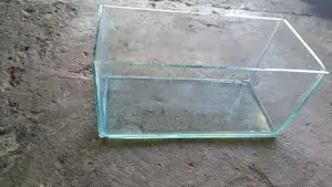 Fish Tank