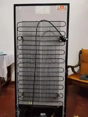 Singer