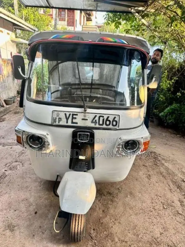 Hero Electric 2010 Three Wheel (Used)