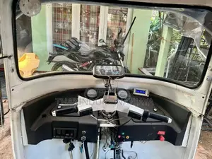 Hero Electric 2010 Three Wheel (Used)