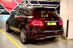 Mercedes-Benz GLE400 AMG 2017 SUV (Used)