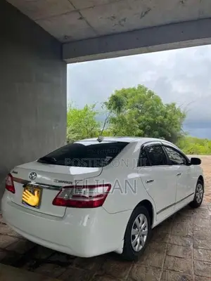 Toyota Premio G Superior 2008 Car (Used)