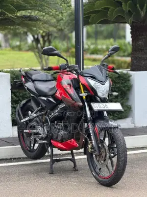Bajaj Ns 160 2019 Motorbike (Used)
