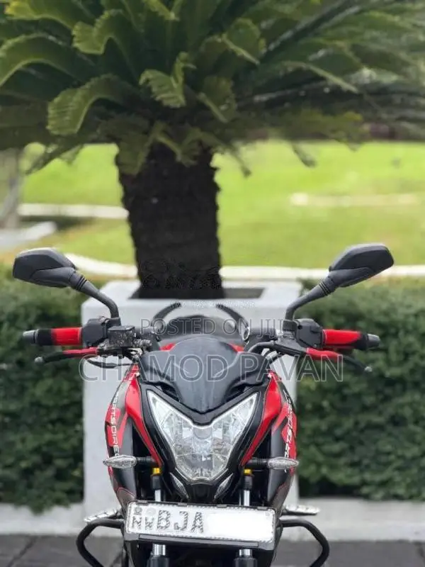 Bajaj Ns 160 2019 Motorbike (Used)