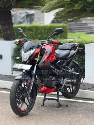 Bajaj Ns 160 2019 Motorbike (Used)