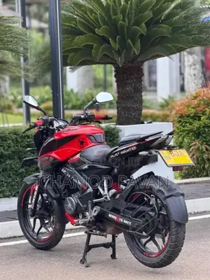 Bajaj Ns 160 2019 Motorbike (Used)
