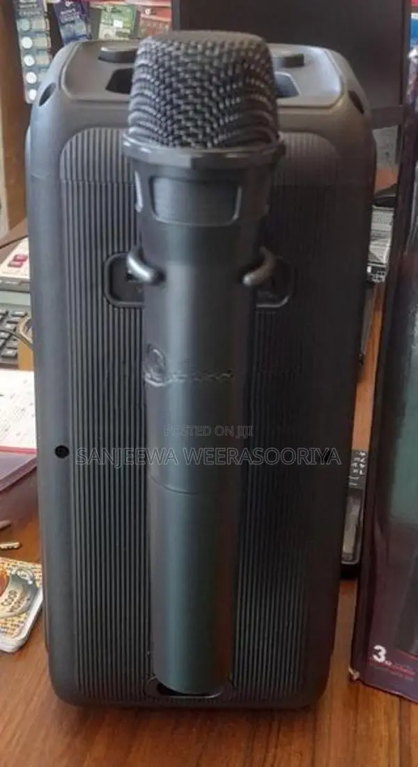 KTS 1973 Karaoke Speaker