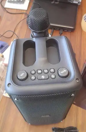 KTS 1973 Karaoke Speaker