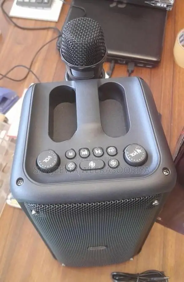 KTS 1973 Karaoke Speaker