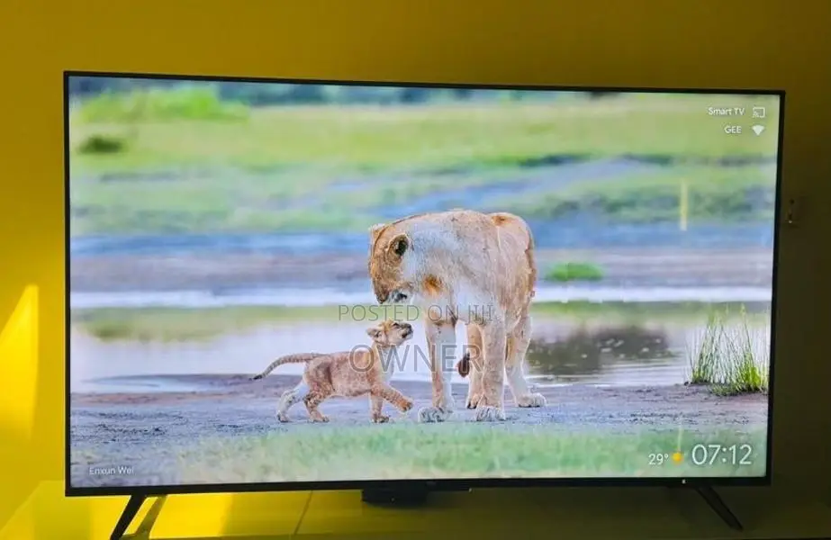 TCL 55 Inch
