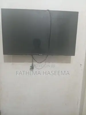 Singer LED TV
