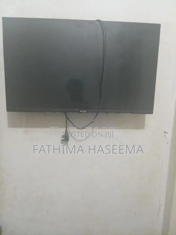 Singer LED TV