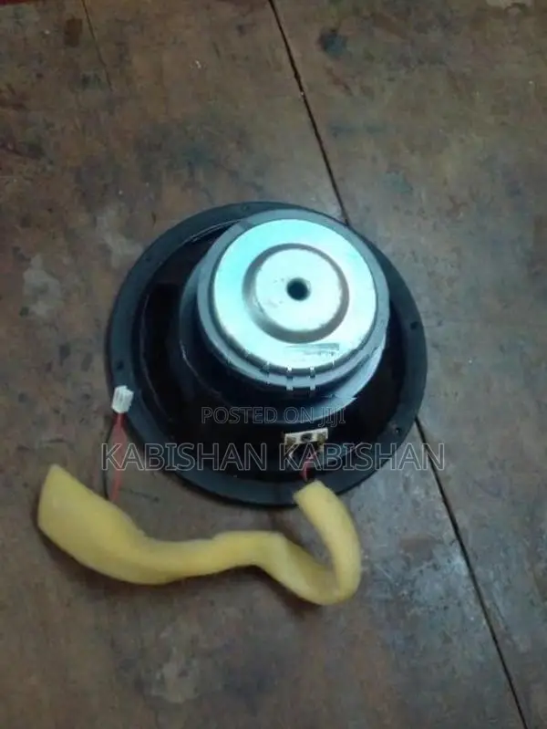 Speaker