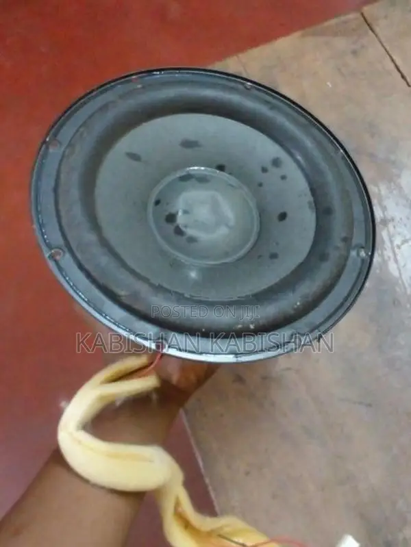 Speaker