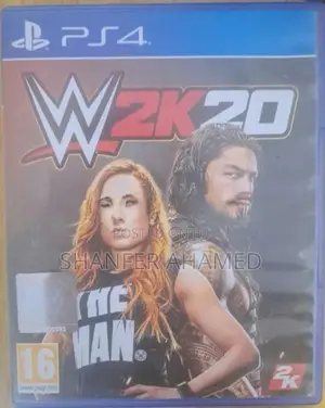 Sony WWE 2K20