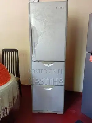 Singer Fridge