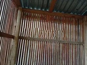 Pigeon Cage