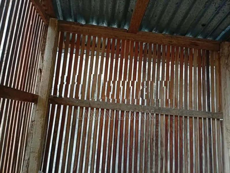 Pigeon Cage