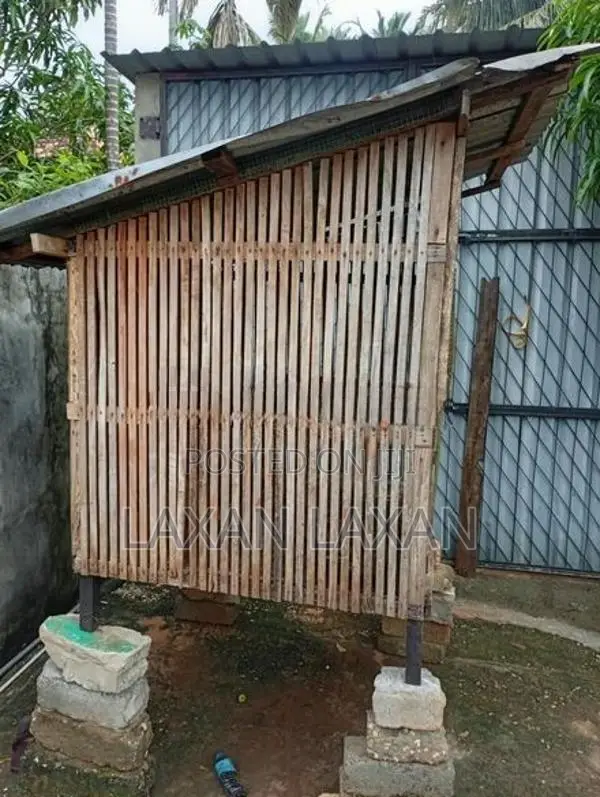 Pigeon Cage