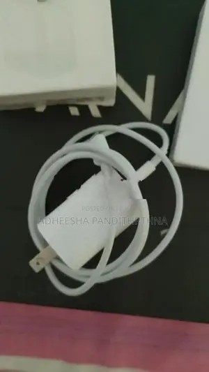 Apple Charger