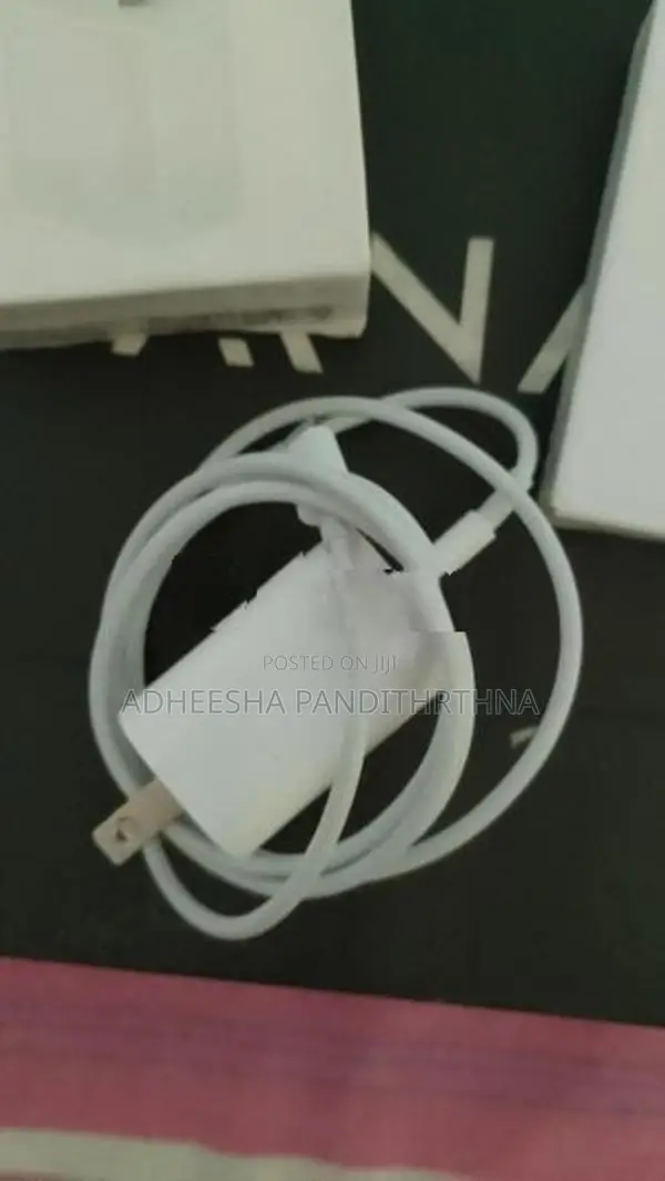 Apple Charger