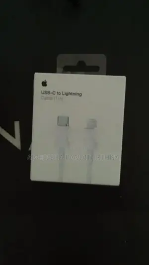 Apple Charger