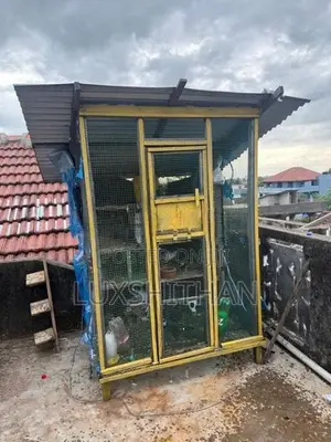 Pigeon Cage