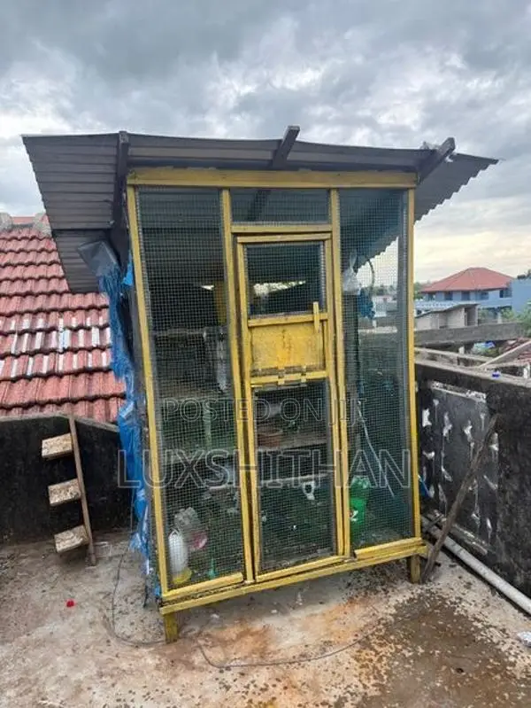 Pigeon Cage