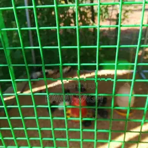 Farm Hens