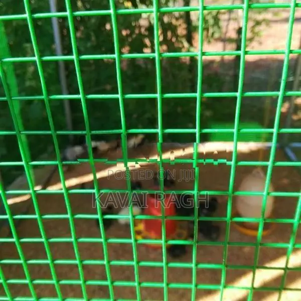 Farm Hens