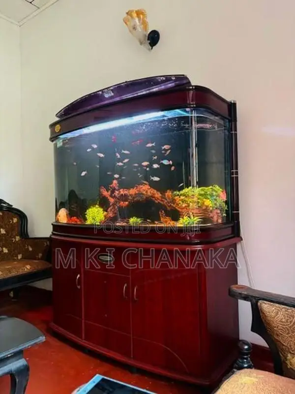 Full Set - Fish Tank