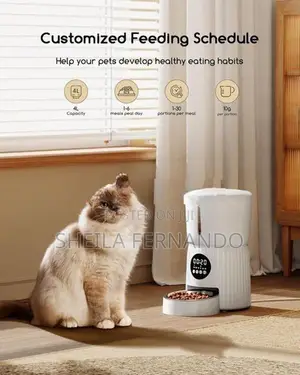 High Quality Automatic Cat Feeder 4L With Timer Voice Recording