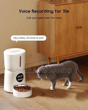 High Quality Automatic Cat Feeder 4L With Timer Voice Recording