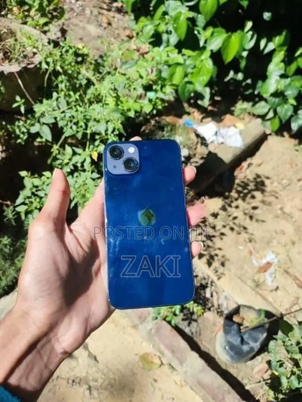 Apple 13 (Used)
