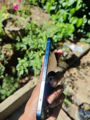Apple 13 (Used)