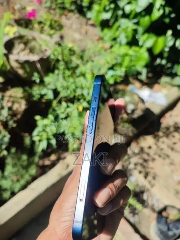 Apple 13 (Used)