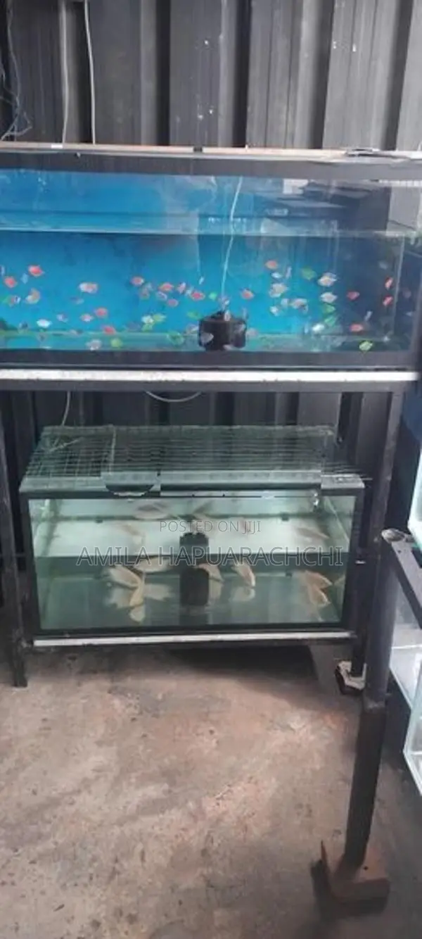 Fish Tank With Stand