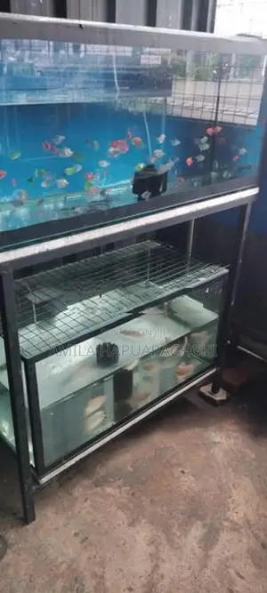 Fish Tank With Stand