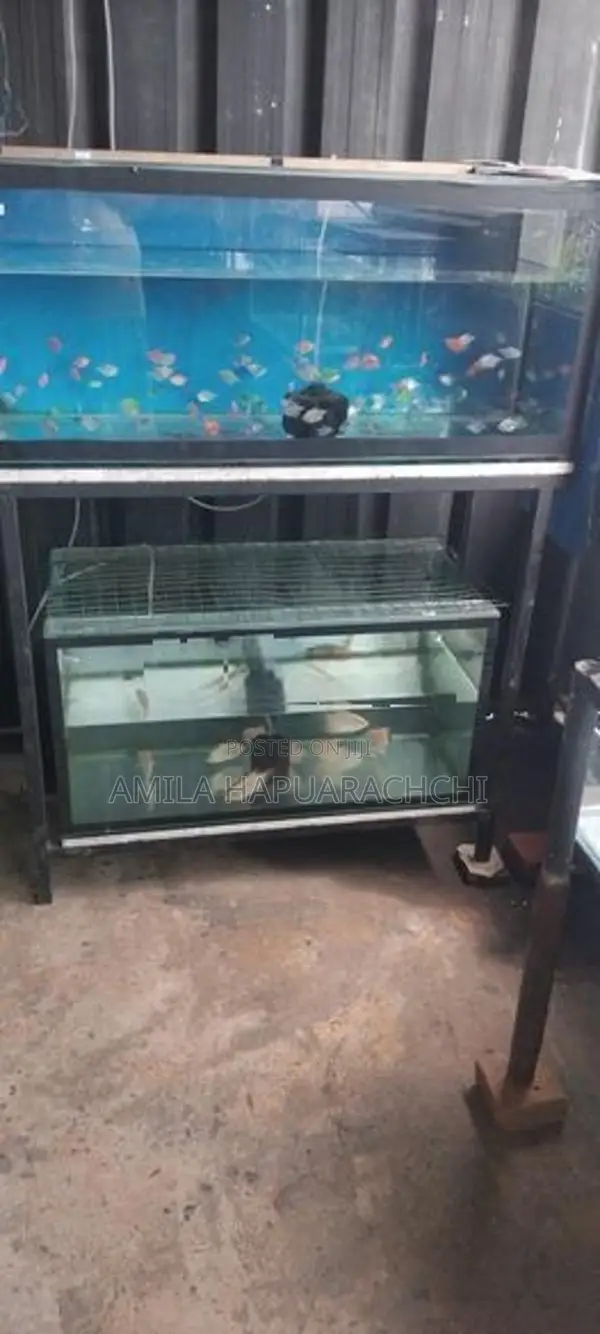 Fish Tank With Stand