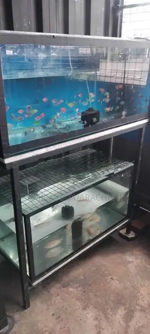 Fish Tank With Stand