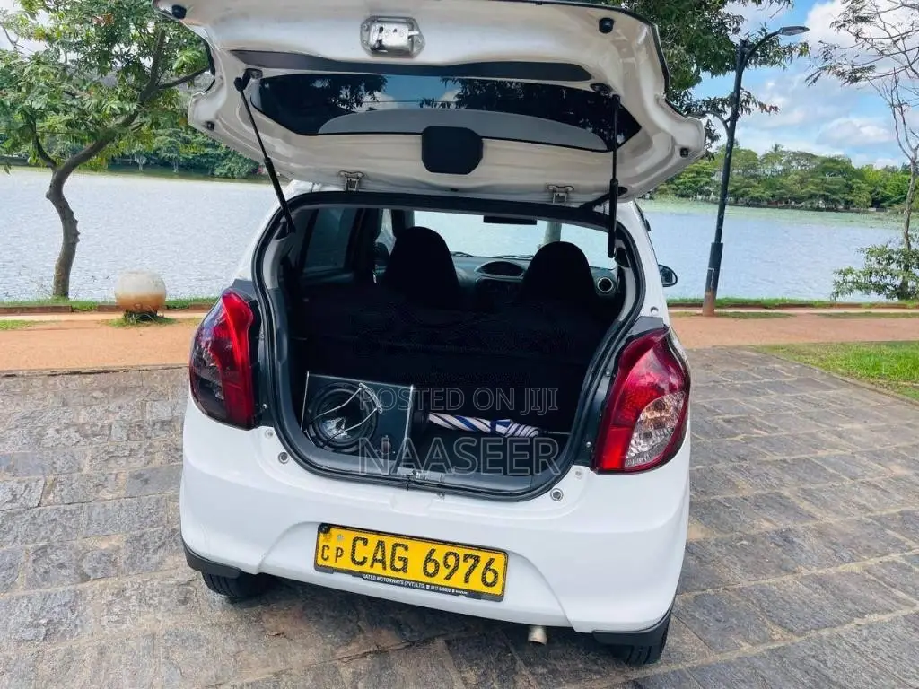 Suzuki Alto 2015 Car (Used)