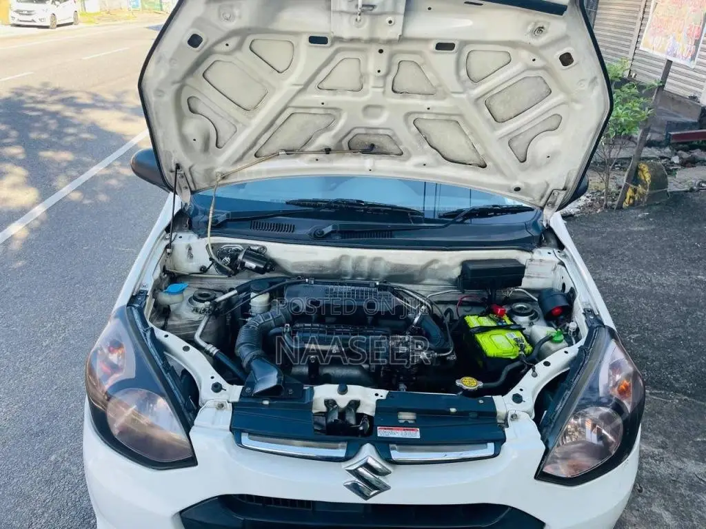 Suzuki Alto 2015 Car (Used)