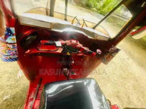 Bajaj RE 2 Stroke 1996 Three Wheel (Used)