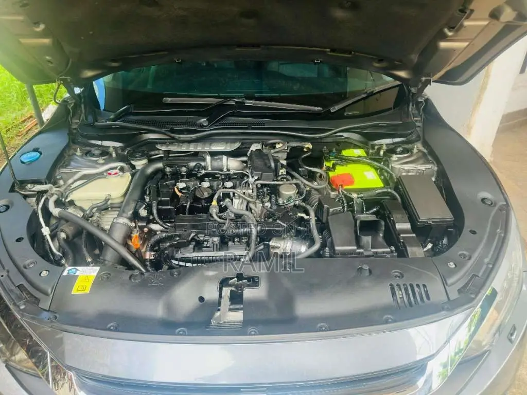 Honda Civic Sedan 2019 Car (Used)