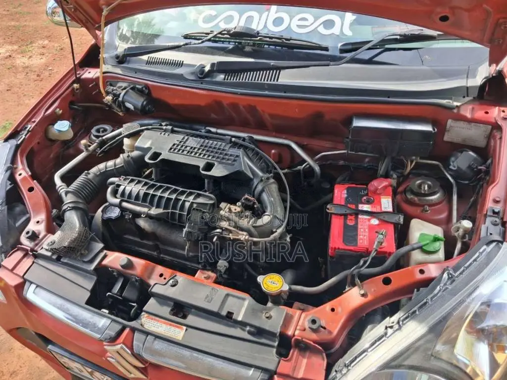 Suzuki Alto 800 2013 Car (Used)