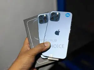Apple iPhone 12 Pro 256GB 5G (Used)